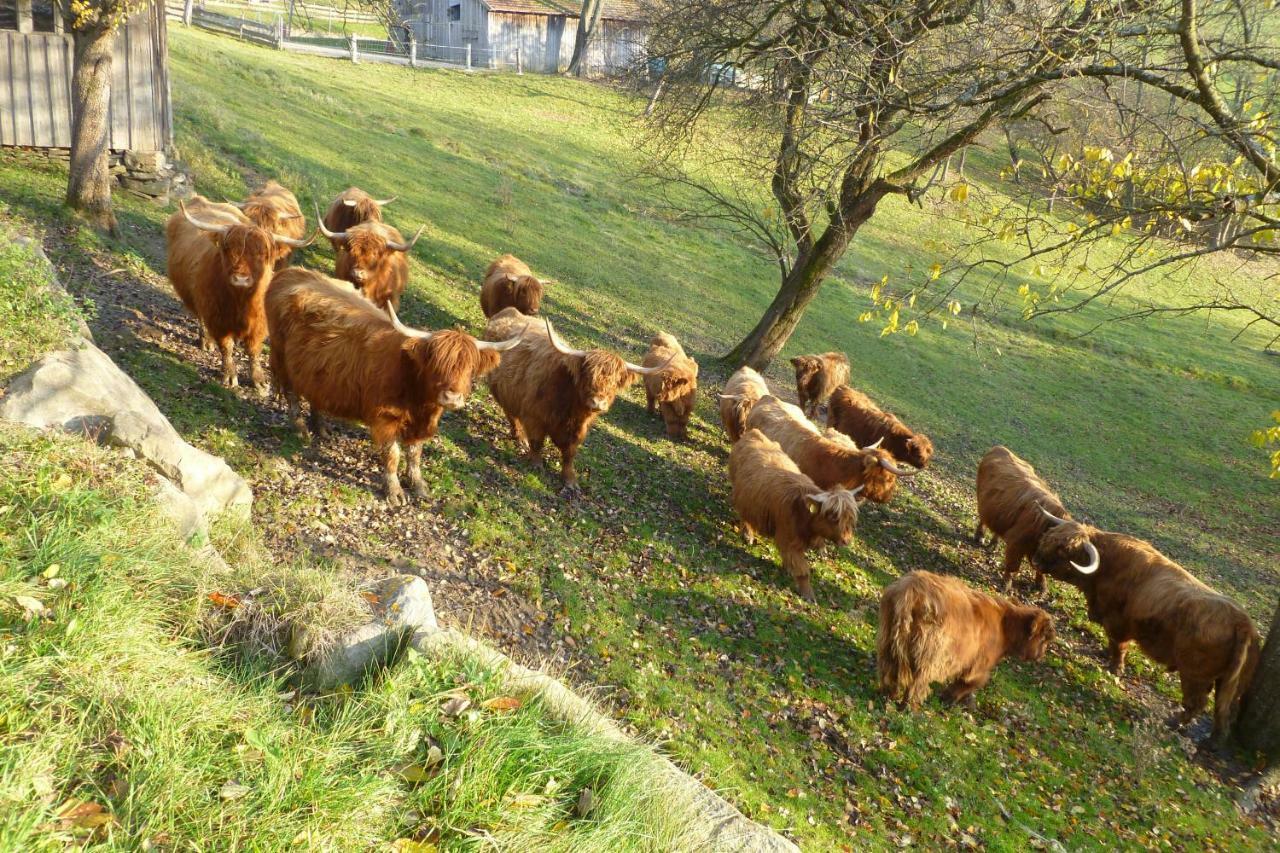 Dorferhof Villa Weistrach Eksteriør bilde